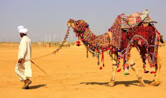 Best Rajasthan Group Tour with Desert Safari | 8 Days 7 Nights